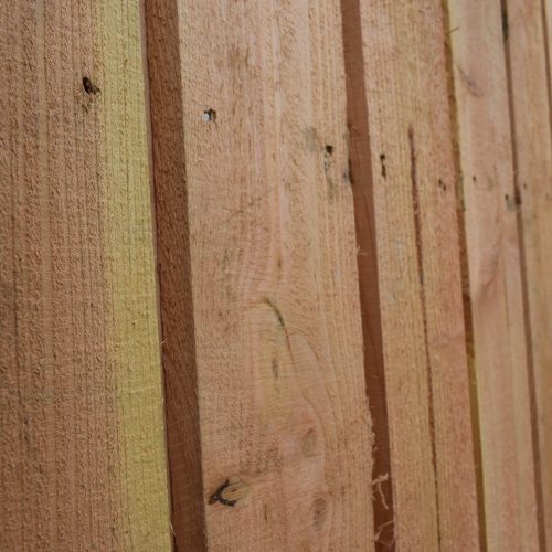 Douglas Fir Maintenance